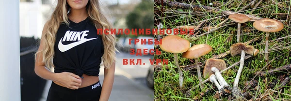 винт Зеленодольск